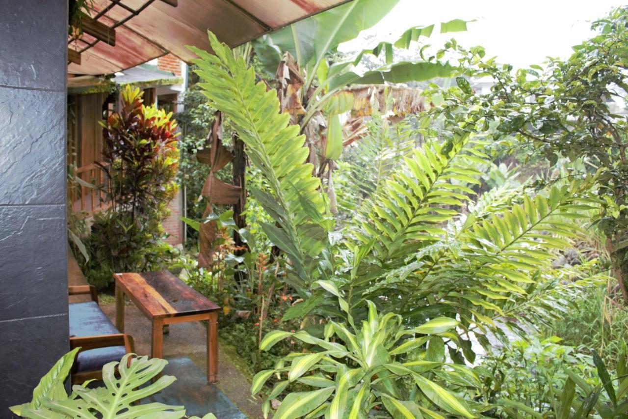 Hostal Zafiro Mindo Εξωτερικό φωτογραφία